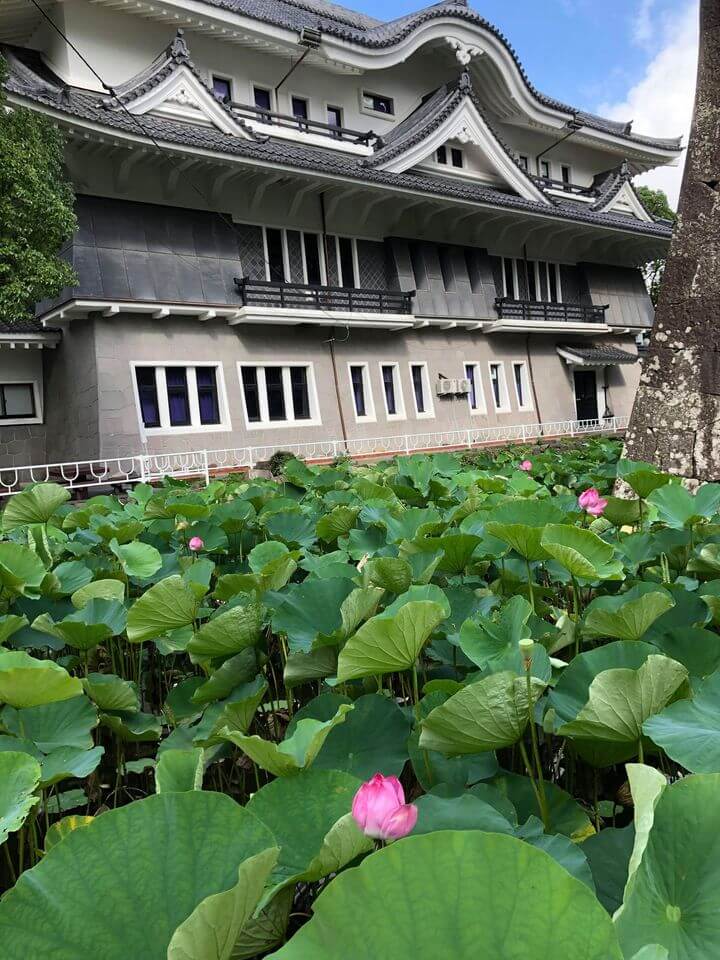 蓮の花 五島市歴史資料館 - fullyGOTO x fumoto