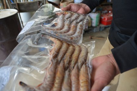 車海老養殖場 拓水 Fullygoto X Fumoto