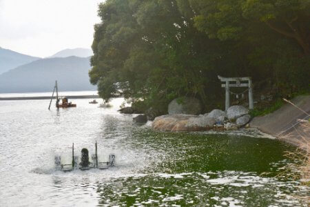 車海老養殖場 拓水 Fullygoto X Fumoto 車海老養殖場 拓水 Fullygoto X Fumoto