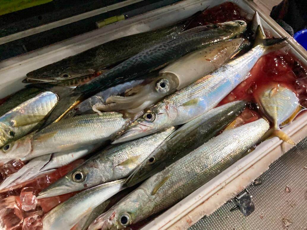 ロングステイを楽しもう 釣りでロングステイ Fullygoto X Fumoto